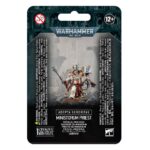 Adepta Sororitas: Ministorum Priest
