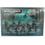 Drukhari Wyches