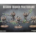 Necron Lychguard / Triarch Praetorians