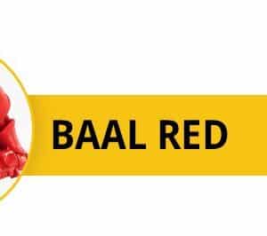 Citadel Contrast Baal Red 18ml New