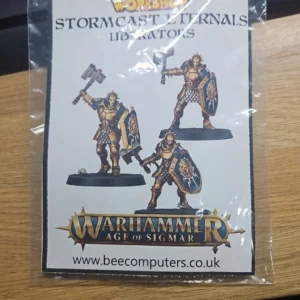Plastic bag containing Warhammer Age of Sigmar Stormcast Eternal Librators miniatures and branding